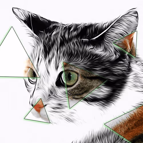 Item #60839276870702459536115980663435026977207856631347422568339333165809080991745 Media