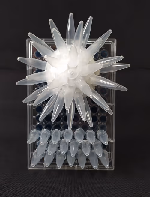 Item #108955583872739655741702358868652756405273862791069305959596897648930321334273 Media