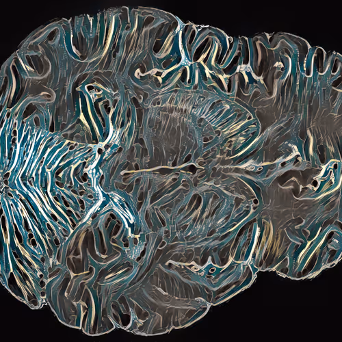 Item #29877578668728852178902598419785793077778618348046200683544678296457851174913 Media