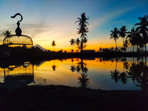 Item #5592822141901121165044385210213466078582832522879518438800797048688382836741 Media