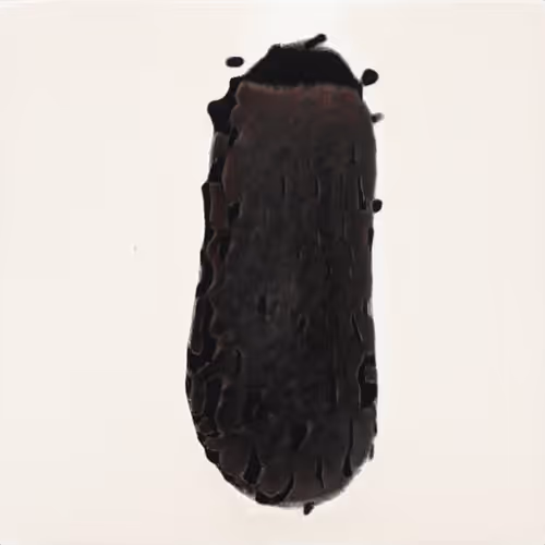 Item #94594472800492689210511791646247881716921421318605375343824232314279850672129 Media