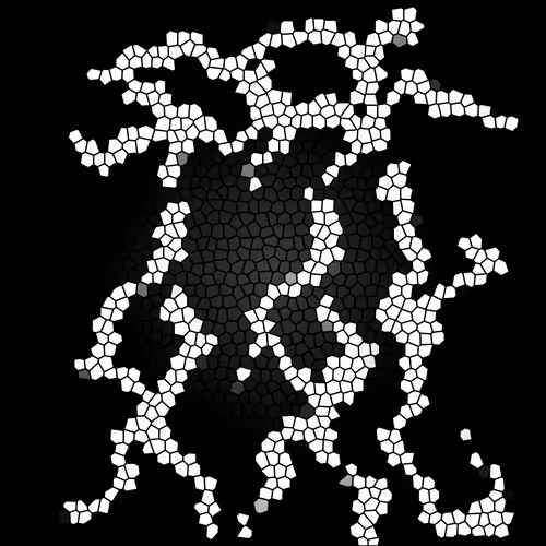 Item #112692583315393289640399895976932165051479569016209638740688331061817096798209 Media