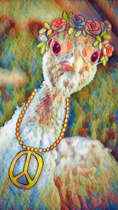 Item #47237781251135923353742950703176233702215495695736078562832556036780265046017 Media