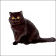 7917608709568526609042417006664391966594597627541652161018316722932105084929