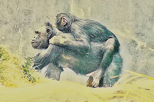 Item #105394010161551018097936078642910549059002323015222353178191529710537410609153 Media