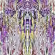 71390764546733501434401598987049989860387502298666845583476766910512610934785