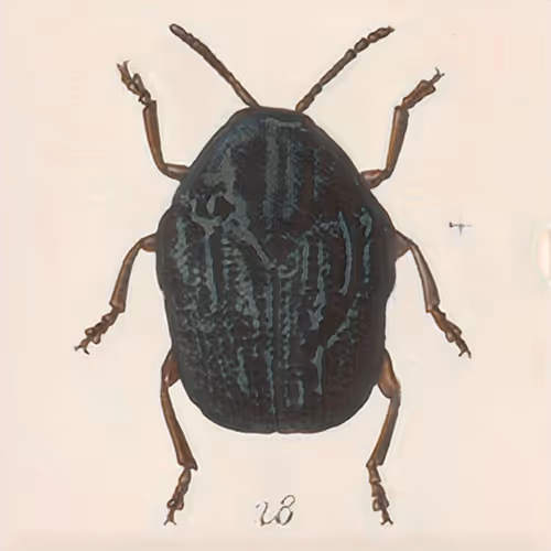 Item #58241160855422744817468407088196322100109565521561100950236904323231204245505 Media