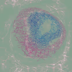 AbsctractZ #6