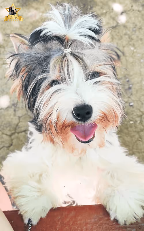 Item #38667131167011634385541907782208186835961873608250228940362662778221428211713 Media