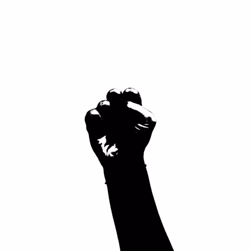 Item #31539791034023698532650734174041438337873419671347002454544730882204061663233 Media