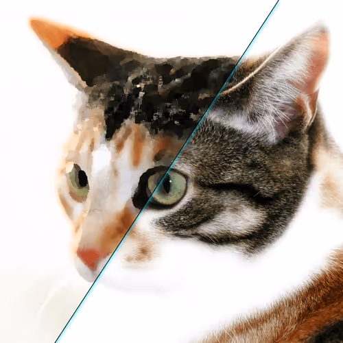 Item #60839276870702459536115980663435026977207856631347422568339333164709569363969 Media