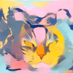 The disappearing Cat