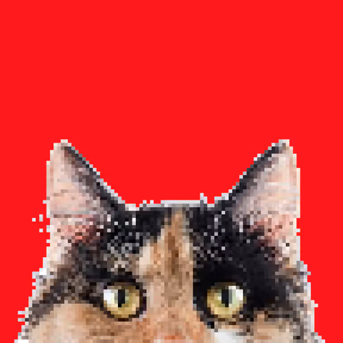 Item #91910287960762603597667557624097333532700135261074982792072954936106294444033 Media