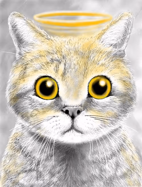 Item #56621992303262747893271366005093707345711101762340673219461019476170178035713 Media