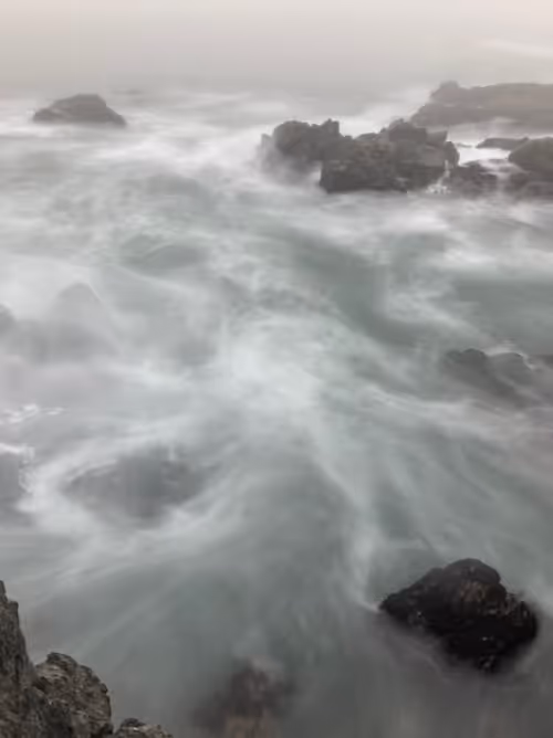 Item #41540088115712747085042347828727921897877758860552176514137011683429854478341 Media