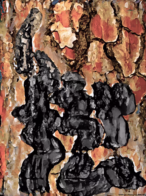 Item #15770807062207090309233287344764243663066507419561820688244892414804301447170 Media