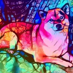 56217793699816248986222488004108541426472923207840297687166606865548366053396