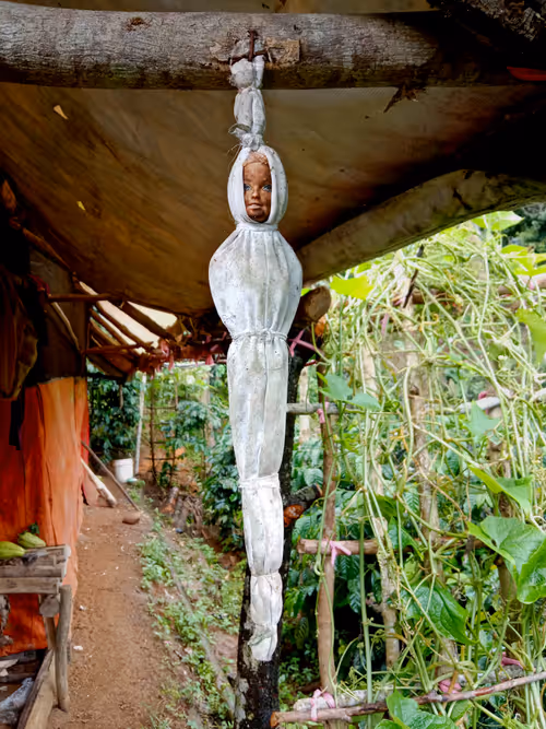 Item #91163984529927424901264955154345462323659642918610600117614228661954825682945 Media