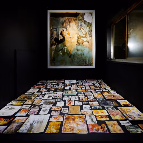 9260538880738646448046418891529255088625136826813512017686583786318877163620