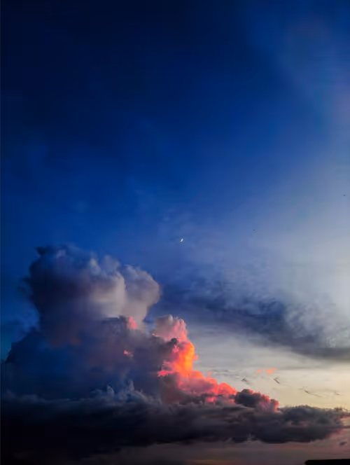 Item #71018075839018050901225205655405856893212176946950792570789217697031119699969 Media