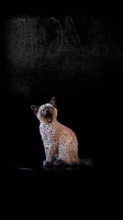 Item #20286817641922993541065929101952433978531825078991625494647867565710078115841 Media