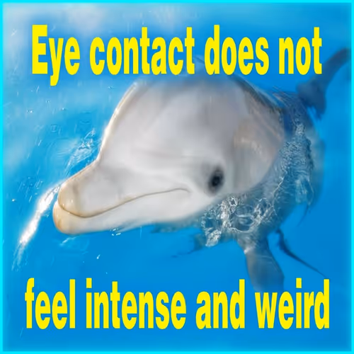 24854344816676619145527184156942567180308400157080869346672304208223311757322