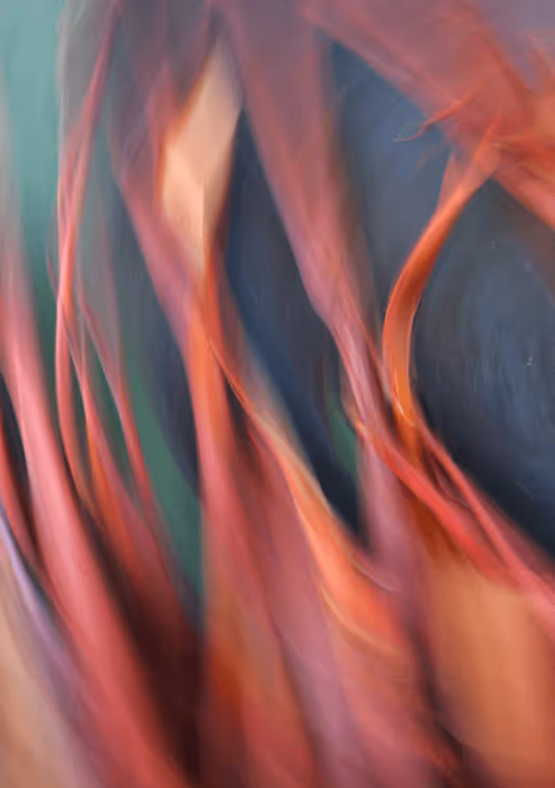 Item #23265726314410109476129301555838572111439838682222879854994044593871886745601 Media