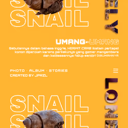 HERMIT CRAB 0.2