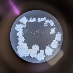 Sodium Chloride #147