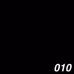 #010