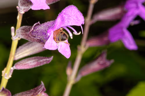 Item #47344123980109973813634142770242239438764360713225161879961011964863274024961 Media