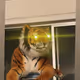 86428828678189618065753181981284776594437998552509234876054035984062575804417