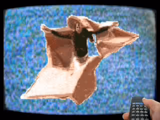 Item #36049036210915542891603514203013099125599246175484305955535372034561831600129 Media