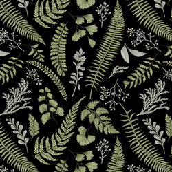 31081804352330578596568685091517160537930858517835942894700269871265476509697