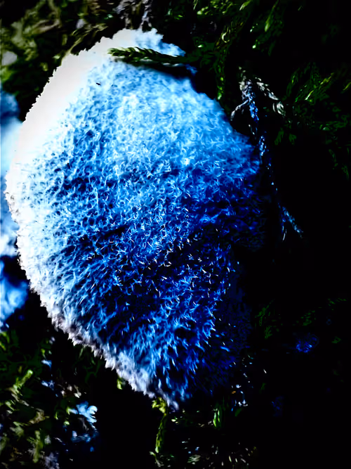 Item #582723344791578874392979375224931479207908297100719477511291132910759837697 Media