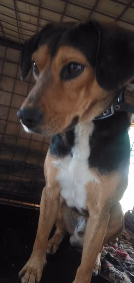 Item #23439807421783349604606688817165201350165750151979961366033252246894432747521 Media