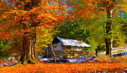 2468119463308914702005443652102614178506533567319377457804557000972431261697