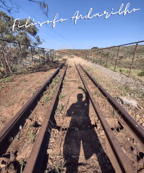 Item #42165497215799268651933513800091680414625417379712449060150831239622610124801 Media