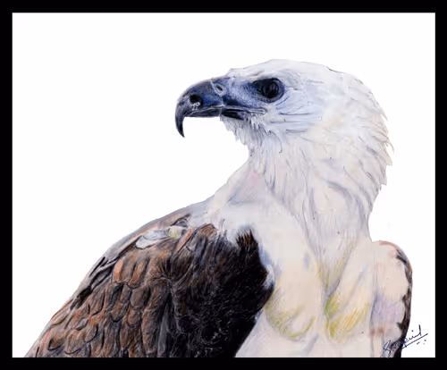 88392049109375850439574262012811564620955616675651121480724544707197342318593