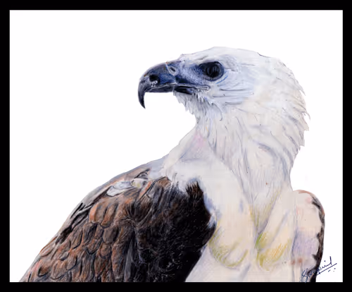 Item #88392049109375850439574262012811564620955616675651121480724544707197342318593 Media