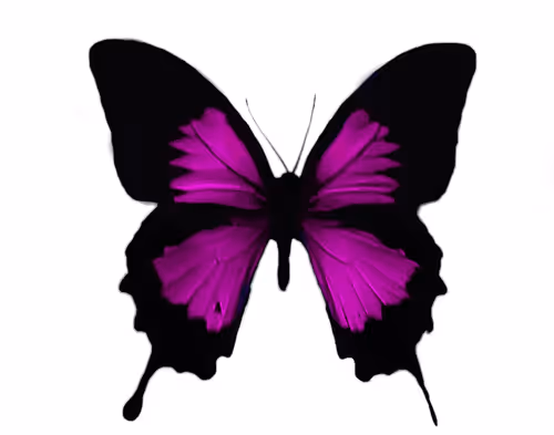 Item #114870335106955473169093684983485936452695297859029117914503749913099536171009 Media