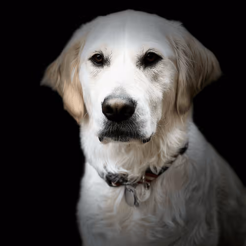 Untitled Collection #192156762