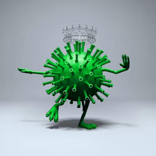 Item #36731047672651610346266928911421604711407556365979508923650172681957723340850 Media