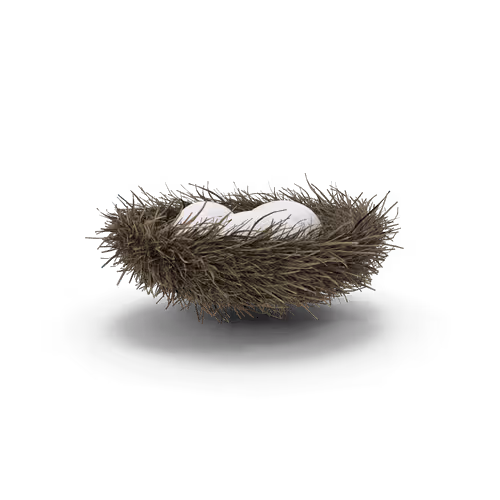 Item #10692128177869217616549875812351760064044743259876947564500344199870505025537 Media