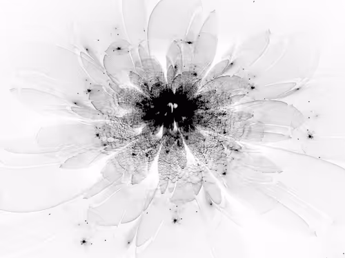 Item #60917664408999158831341273362886597596111228117143281740438950515593824961512 Media