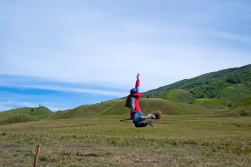 Item #68308237453051749473654171100707299861542778118876328570446620211226337083393 Media