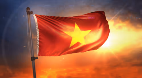 Untitled Collection #30698413