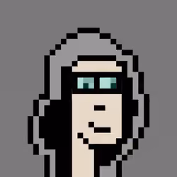40430028476910063402724942294866306084460359041006628391747298849360212656129