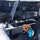 93287463869736116785119737380651510457430174643846150846202409998310105425680