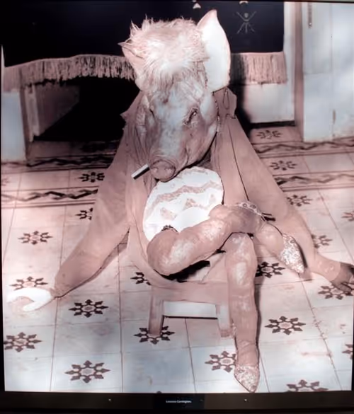 Item #9904232508516744841243121283726793551498964574342498012839096343380677885953 Media